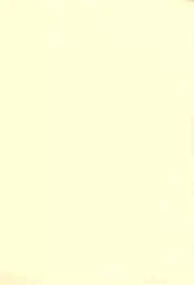 Boku to shishou no hajimete no.