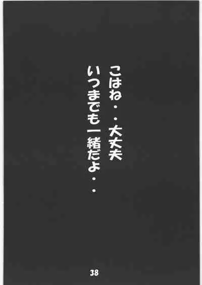 (C97) [Jiyuugaoka Shoutengai (Hiraki Naori)] Mania Yell! Shoujo Zanka (Anima Yell!)