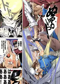 [Akiyama Kougyou (Mikazuki Shikou)] Houkai no BATTLEQUEEN (Street Fighter)