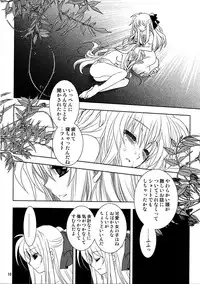 (C81) [PLUM (Kanna)] Magical SEED・Ideorogy (Mahou Shoujo Lyrical Nanoha)