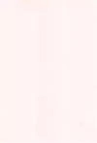 [E-Musu Aki] Toroman Style