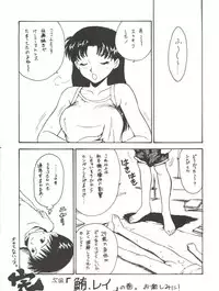 (CR18) [Karumaya (Karuma Tatsurou)] KARMA II (Neon Genesis Evangelion)