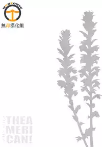 [odin (Kurokawa IZUMI)] CUTE GIRL! THE AMERICAN! (Kantai Collection -KanColle-) [Chinese] [無毒汉化组]