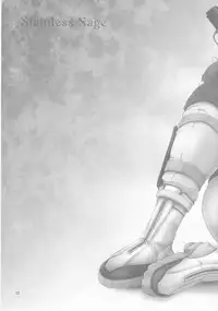 (C79) [Kesshoku Mikan (Anzu, ume)] Stainless Sage (Resident Evil)