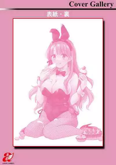 Shumi Bunny Girl tte Hontou desu ka?