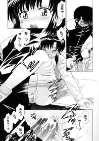 [Kotono Wakako] Kanzen Fukujuu Maid