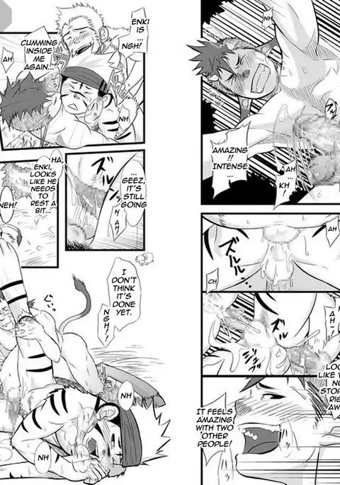 Determined Tiger Monkey Cow