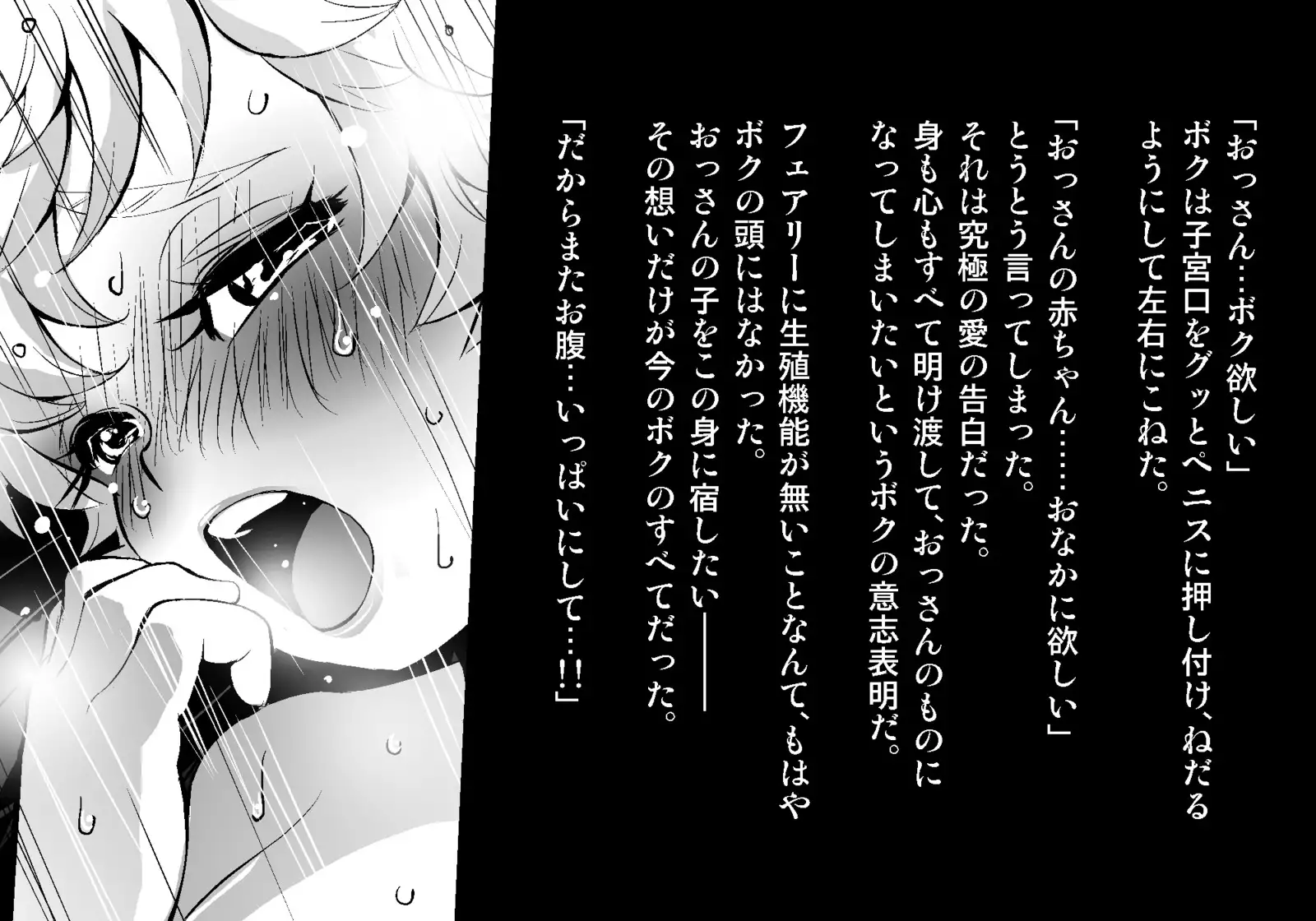 フェアリーセティ