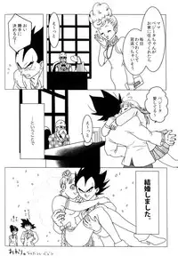 MOEBON BALL KAI (Dragonball Z) [Vegeta X Bulma]