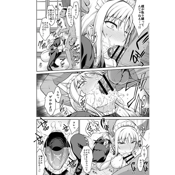 Mesu Kagura -Fate Hen 3 samle