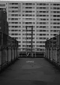 Usugitanai Cinderella