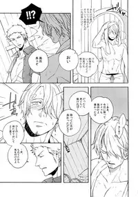 (C87) [Kyozoya (Kunoichi)] SWEET SPOT (One Piece)