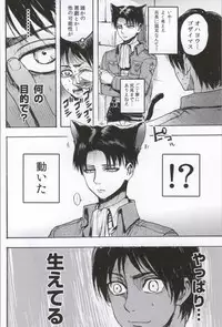 (C86) [Onjire (Tamy)] ONGRE2013 (Shingeki no Kyojin)