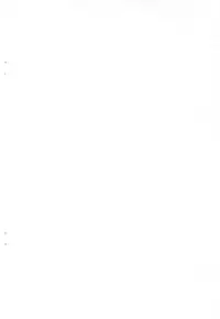 Slingshot Midareuchi Erotic Mineuchi