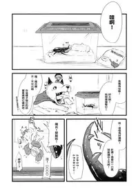 (C89) [02 (Harasaki)] Shinmyoumaru VS Caucasus Ookabuto (Touhou Project) [Chinese] [沒有漢化]