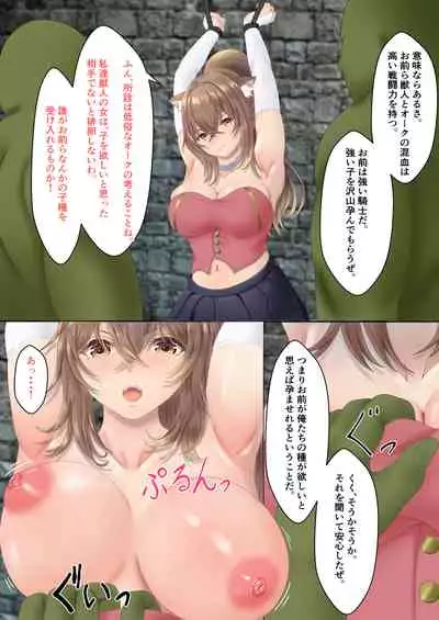 Orc ni Torawareta Nekomimi Kishi no Junan