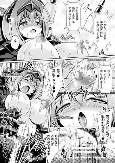 2D Comic Magazine Zecchou Kairaku ga Tomaranai Ero-Trap Dungeon Vol. 4