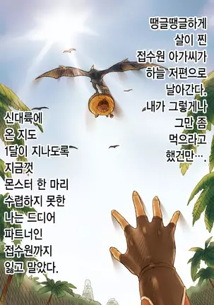 MonHun Sannin Musume wa Kyokon ga Osuki