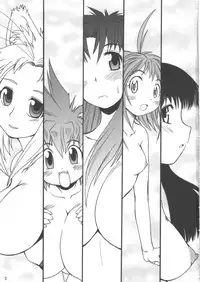 (C68) [Shimanto Seiryuu (Shimanto Youta)] WILDHEART