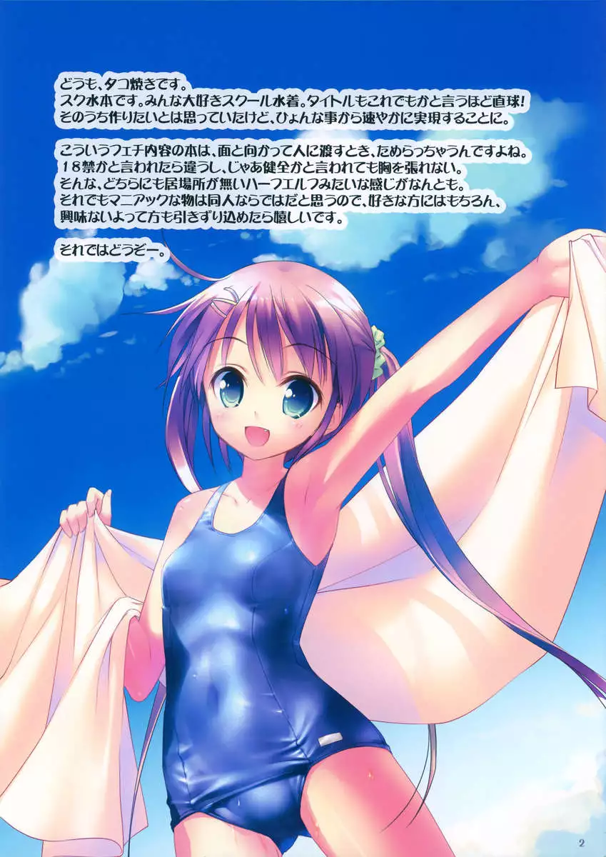 School Mizugi Illustration Book