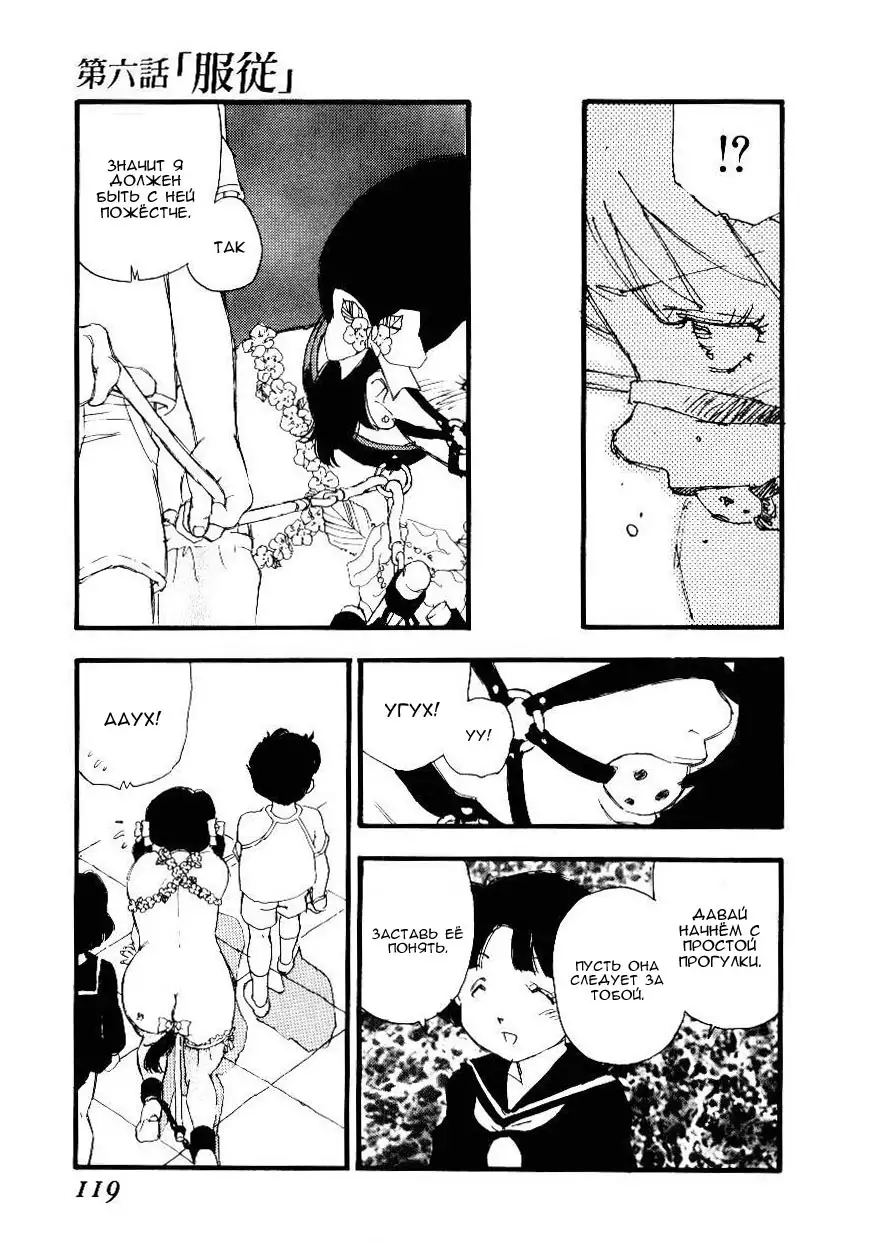 Volunteer Breeding Ch.6