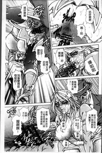 [Hino Toshiyuki] Injukujo Niku Zanmai [Chinese]