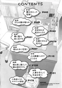 [Chanpon Miyabi] Keiken! Takanashi Ruri no EROMANGA Michi