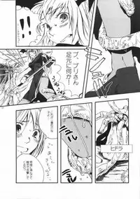 (C66) [Kotobuki noki (Suzuken)] MAGICAL MYSTERY TOUR (Ragnarok Online)