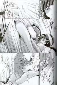 (SHT2012 Aki) [Waterfall (Takano Saku)] Kirei na Kokoro (Smile Precure!)