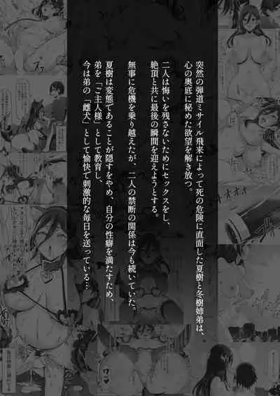 火事場力 ブラコン姉夏樹篇 続