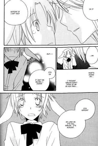 Mimi Paradise Vol. 1