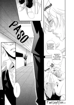 Y Sin Embargo Es Amado, ¿Cierto?