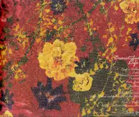 (C73) [ROCK'N'DOLLESS (Himemiko)] Beautifullife (Code Geass)