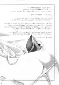 (C77) [NIKKA (Mario Kaneda)] Princess code 04 (Seiken Densetsu 3)