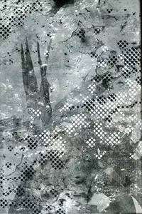 [lucciola (Mikawa Mimi)] The Beasts Party (Vampire Knight)