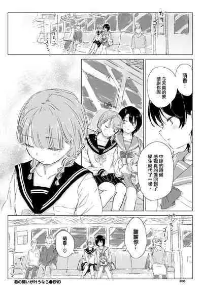 Kimi no negai ga kanaunara