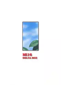 (C56) [Delta Box (Ishida Masayuki)] Mi16 (True Love Story 2)