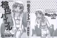 [ANDY] Momoiro Bible