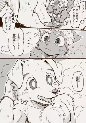 アオカネ銭湯日記