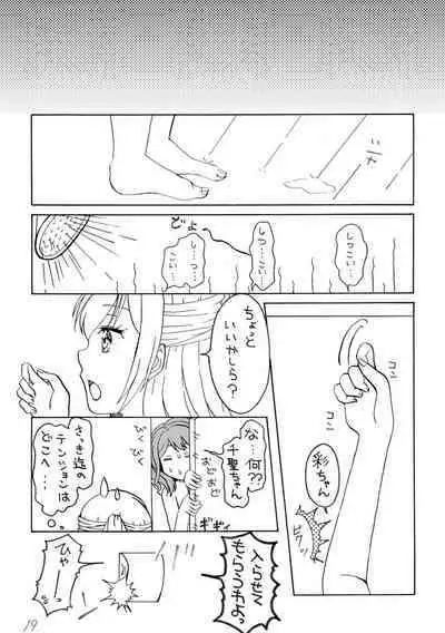 Irodori Midori Maruyama Aya