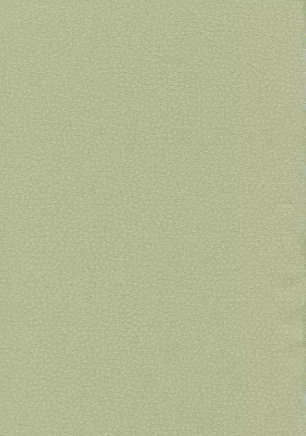 Epilogue 2 -Kaoru Tanamachi-