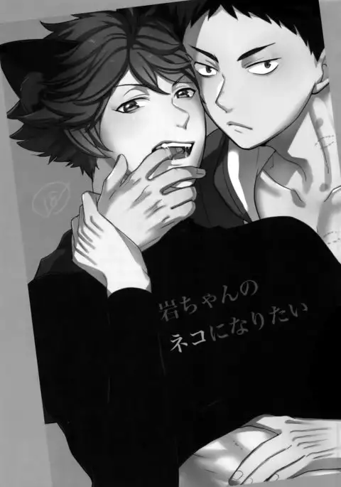 Iwachan no Neko ni Naritai Sairoku-Shuu