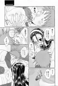 COMIC HimeDorobou 2009-05 (Corrected)