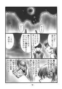 (C66) [Dark RoseEX-S (Hirooki)] JOB☆STAR 2 (Final Fantasy V)