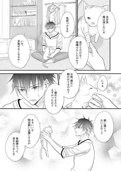 [Liry Rain (Yuzu Riyuu)] Hatsujou ~Koneko o Hirotta Kishi no Hanashi~ [Digital]