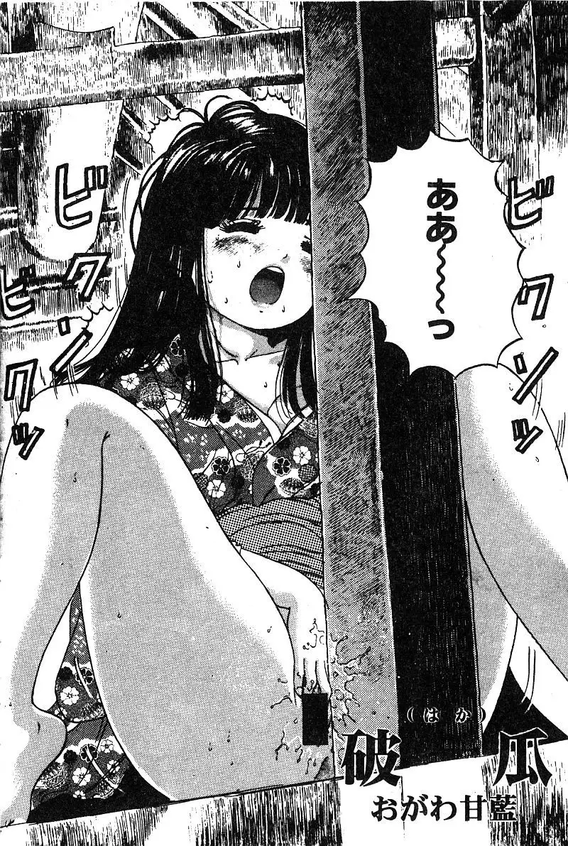 Himedorobow DELUXE Vol. 8