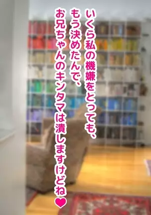 Keigo de Hanasu Imouto ni Kanzen Shihai Sareru Teisoutai Choukyou!!!