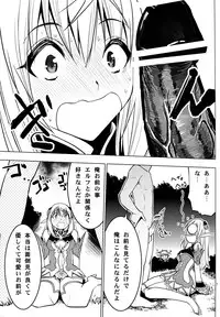 (COMIC1☆6) [Donzoko Kashiwa Meshi (Mask the J)] Altina Weapon (Shining Blade)