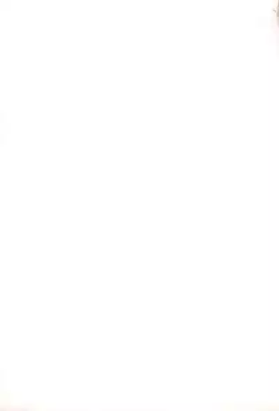 Kissa-Chen Orange Sweets