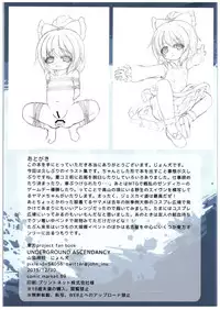 (C89) [Yamaneko Jinja (John Inu)] UNDERGROUND ASCENDANCY (Touhou Project)